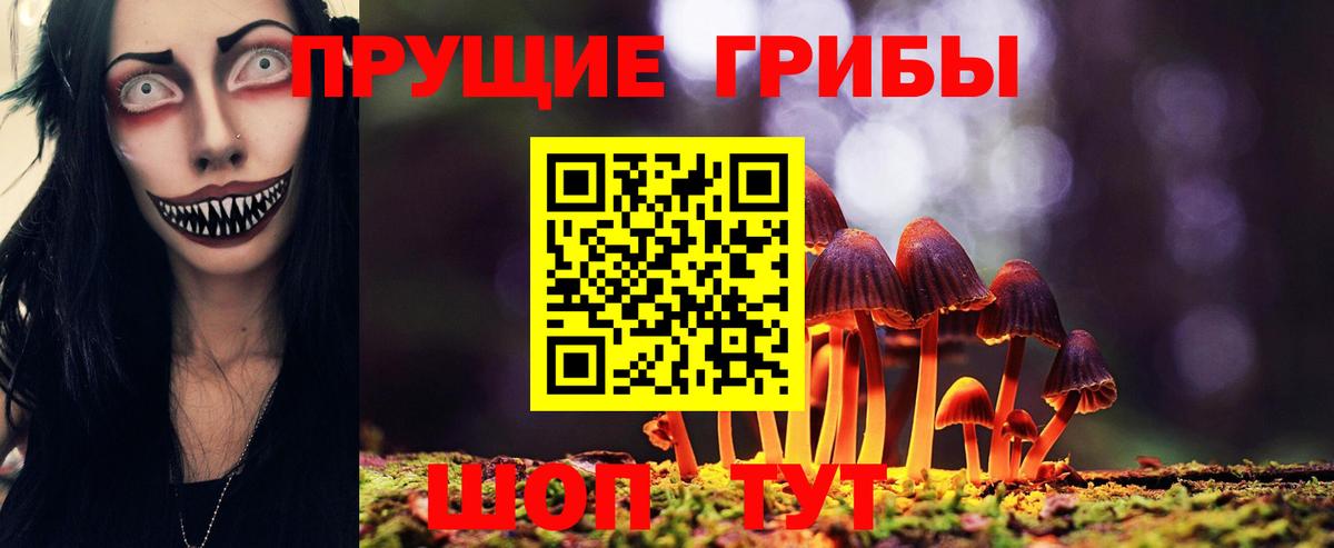 хочу   Вход с VPN  Кашира  Галлюциногенные грибы прущие грибы 