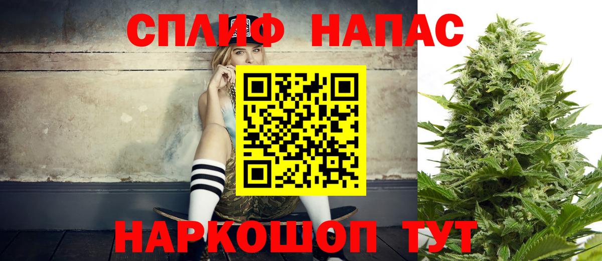 Бошки марихуана семена  Каннабис планчик  Кашира  Канабис индика  Вход с VPN 